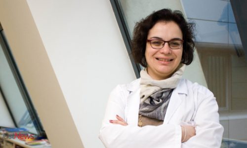 Diabetes no hospital: Internistas vão «assumir o papel de doentes» e atualizar conhecimentos