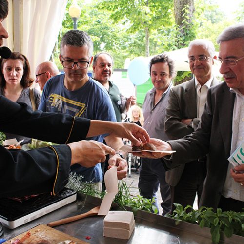 Festa da Saúde levou milhares de pessoas aos Jardins do Palácio de Cristal na Cidade do Porto