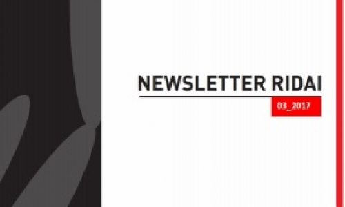 Newsletter RIDAI