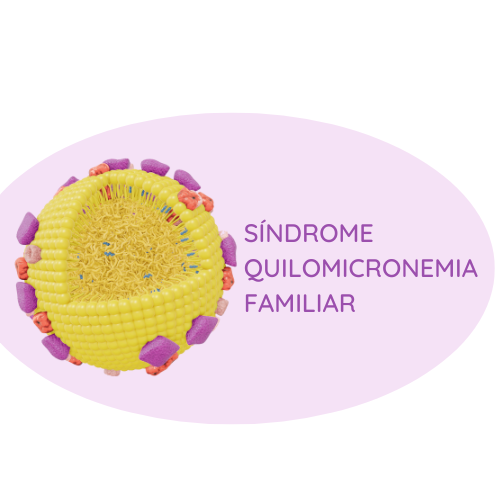 SÍNDROME QUILOMICRONEMIA FAMILIAR 2023-2024