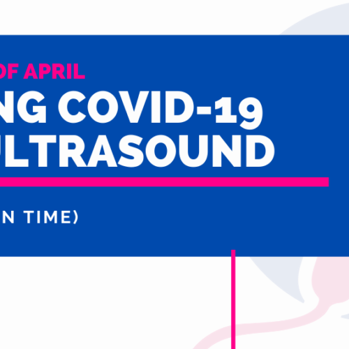 Webinar Fighting COVID-19 with Ultrasound