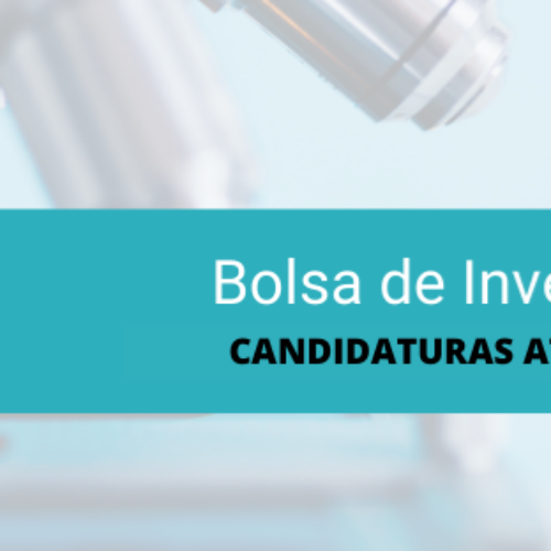 Bolsa de Investigação SPMI – 2021