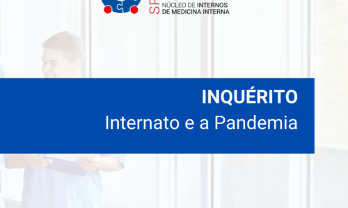 Inquéritos dirigidos aos Internos: Internato e a Pandemia