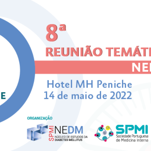 8ª Reunião Temática do NEDM