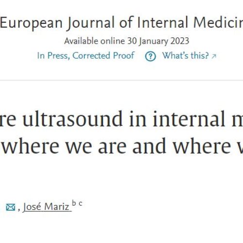 Artigo publicado pelo NEEco no European Journal of Internal Medicine