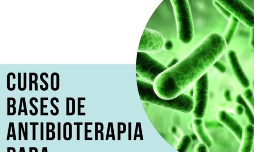 Curso Bases de Antibioterapia para Internistas