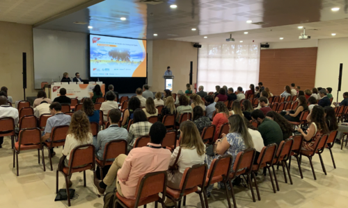 XVI Jornadas do Núcleo de Estudos de Doenças do Fígado: evento de Hepatologia supera expectativas