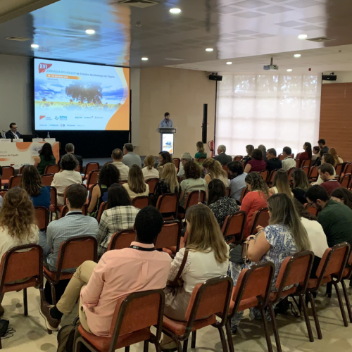 XVI Jornadas do Núcleo de Estudos de Doenças do Fígado: evento de Hepatologia supera expectativas