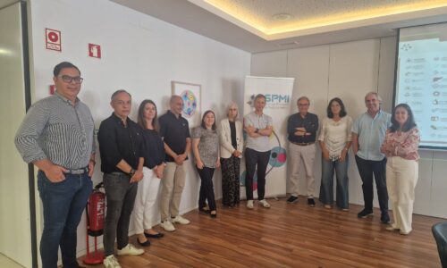 Reunião dos Núcleos de Estudo da SPMI