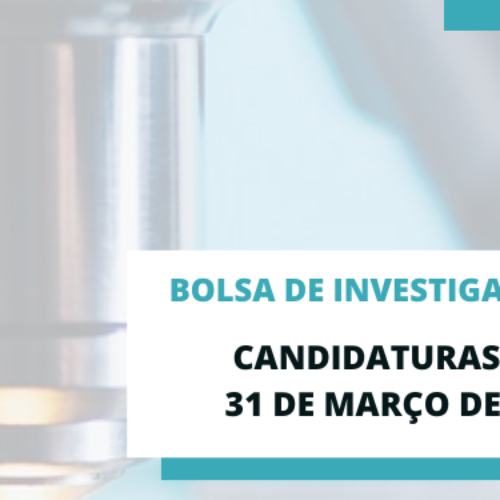 Bolsa de Investigação SPMI – 2026