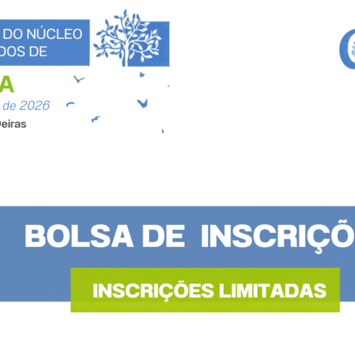 Bolsa NEGERMI – 9ª Reunião do Núcleo de Estudos de Geriatria