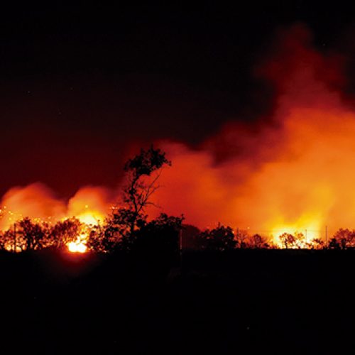 SPMI solidariza-se com vítimas de incêndios